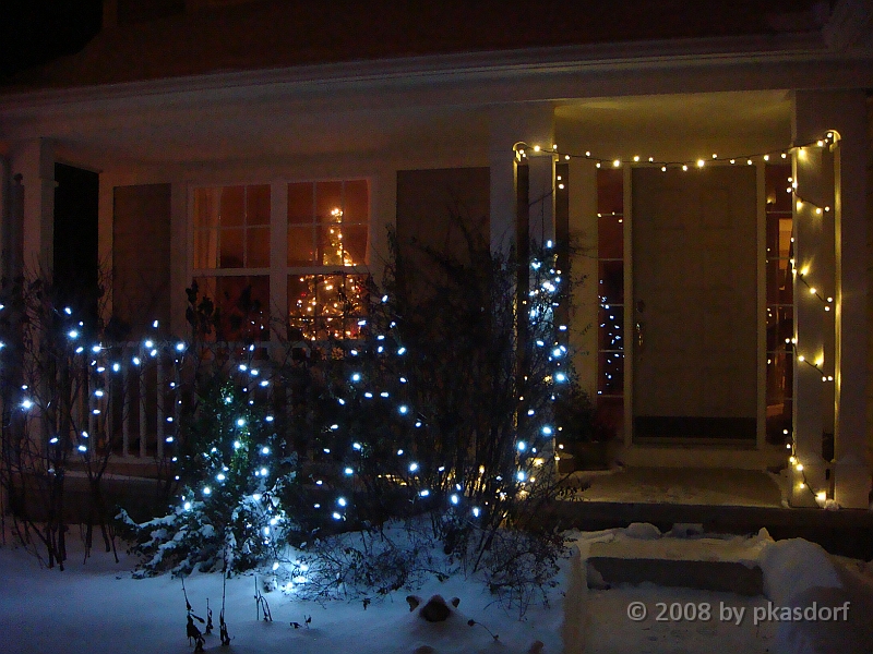 016 A2 Snowfall & Trees [2008 Dec 20].JPG - Our Christmas Trees for 2008.